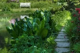 Professional landscape installation in Dedham, MA - Grapes of Wrath Landscaping