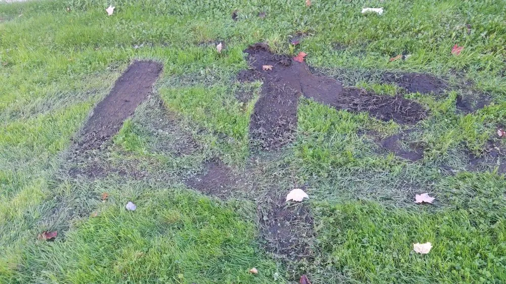 Top-rated landscape design in Dedham, MA - Grapes of Wrath Landscaping