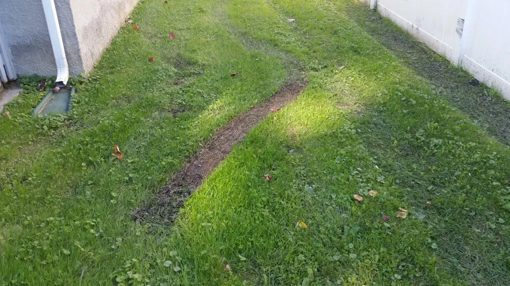 Trusted lawn care service in Dedham, MA by Grapes of Wrath Landscaping