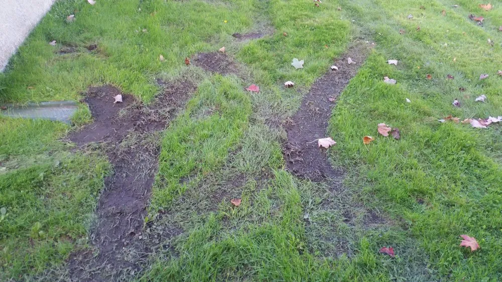 Reliable outdoor landscaping for beautiful yards across Dedham, MA - Grapes of Wrath Landscaping