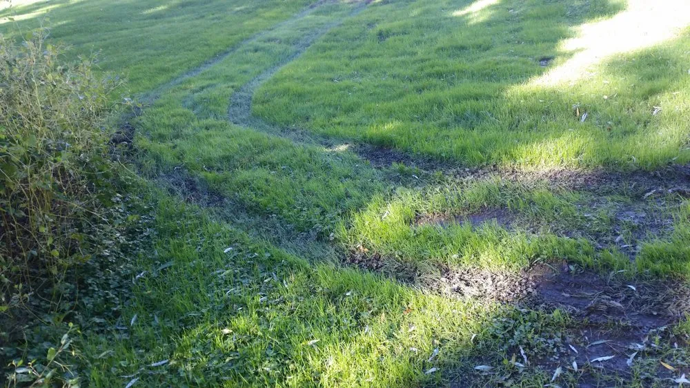 Custom lawn care service in Dedham, MA by Grapes of Wrath Landscaping