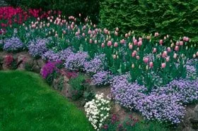 Affordable outdoor landscaping with custom design across Dedham, MA - Grapes of Wrath Landscaping