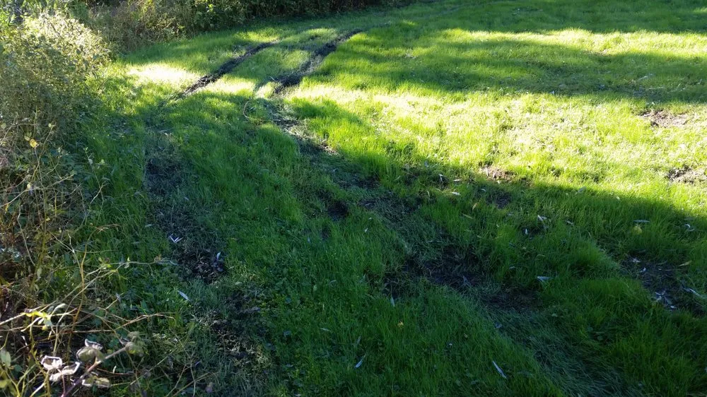 Affordable lawn care service experts serving Dedham, MA - Grapes of Wrath Landscaping