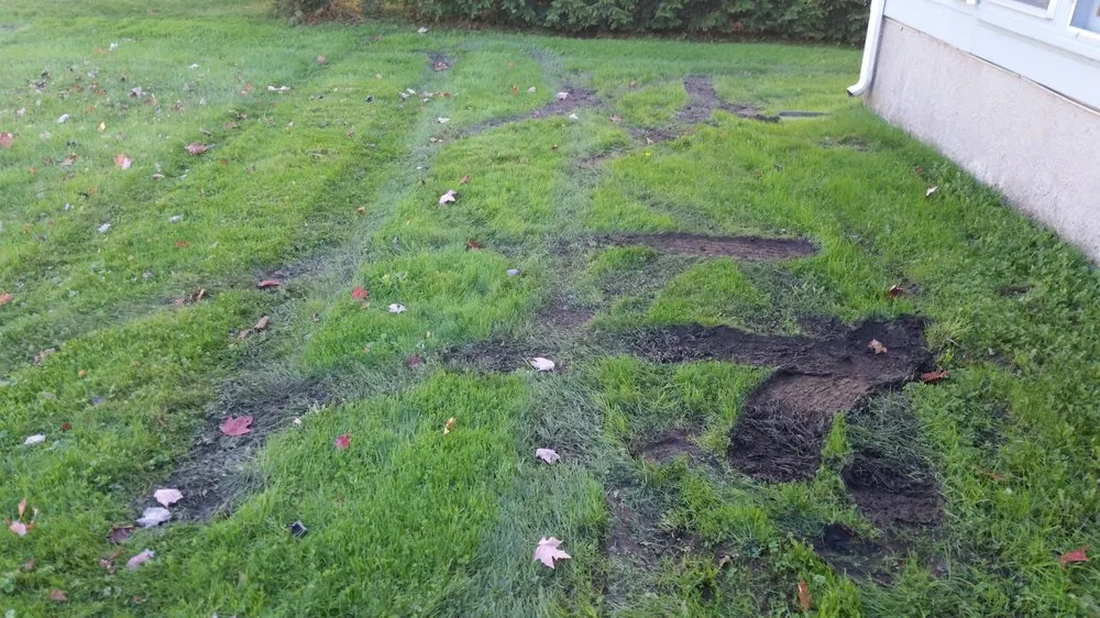 Expert garden landscaping in Dedham, MA by Grapes of Wrath Landscaping