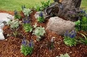 Local yard maintenance for year-round maintenance across Dedham, MA - Grapes of Wrath Landscaping