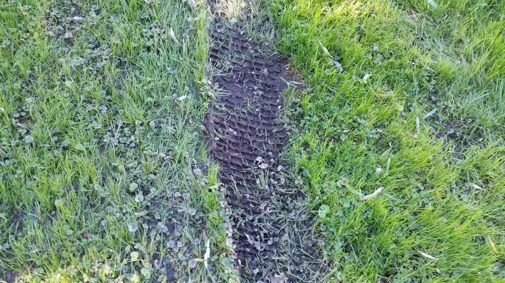 Reliable garden landscaping in Dedham, MA by Grapes of Wrath Landscaping