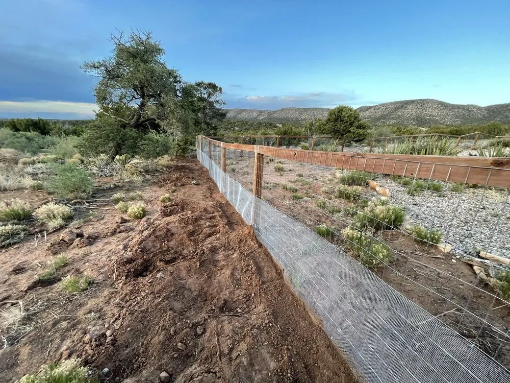 Professional outdoor landscaping in Belen, NM by Grapevine Land Design