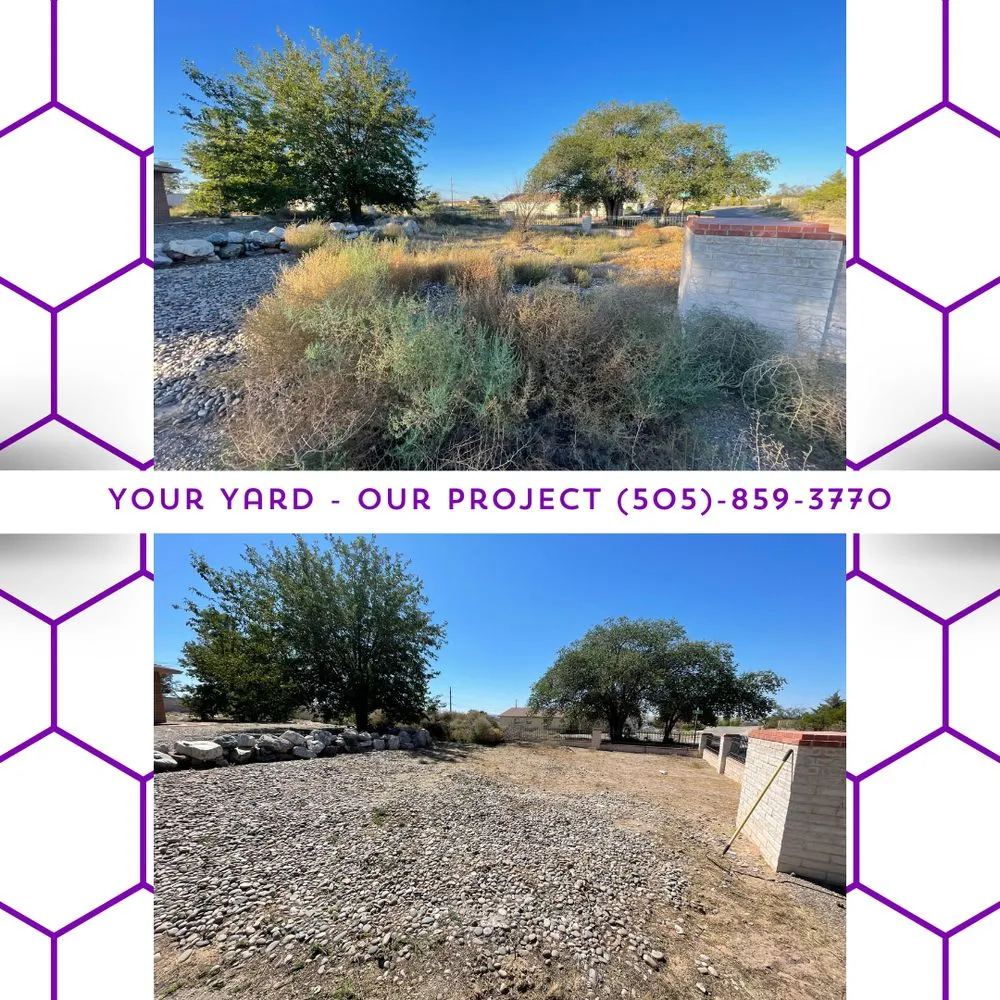Reliable landscape installation experts serving Belen, NM - Grapevine Land Design