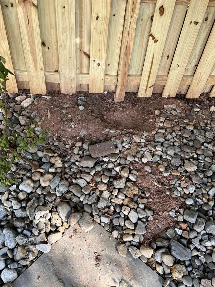 Professional yard cleanup service for year-round maintenance across Manassas, VA - Graphagenix