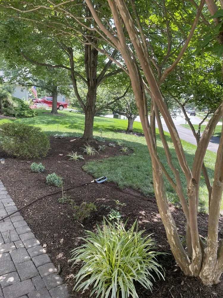 Expert landscaping services experts serving Manassas, VA - Graphagenix