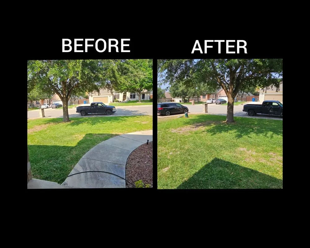 Reliable landscaping services for beautiful yards across San Marcos, TX - Grass & Glass