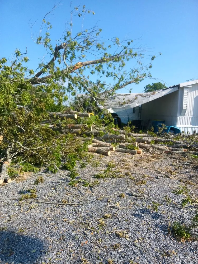 Professional lawn care service for year-round maintenance across Saint Martinville, LA - Grass & Handy Maintenance