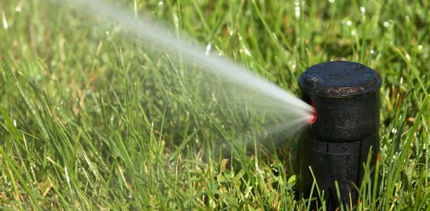 Trusted outdoor landscaping for beautiful yards in Dalton, GA by Grass & More Outdoor Services