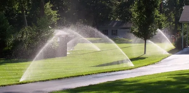 Professional residential landscaping in Dalton, GA by Grass & More Outdoor Services