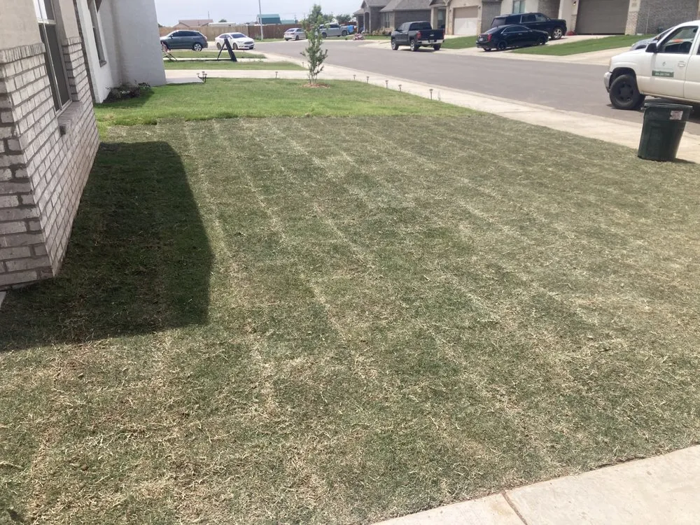 Local yard cleanup service with custom design in Lubbock, TX by Grass & Tree Company