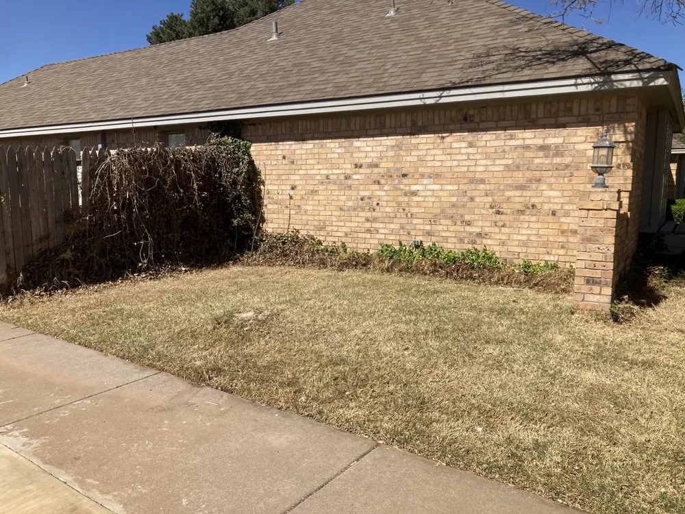 Affordable yard cleanup service experts serving Lubbock, TX - Grass & Tree Company