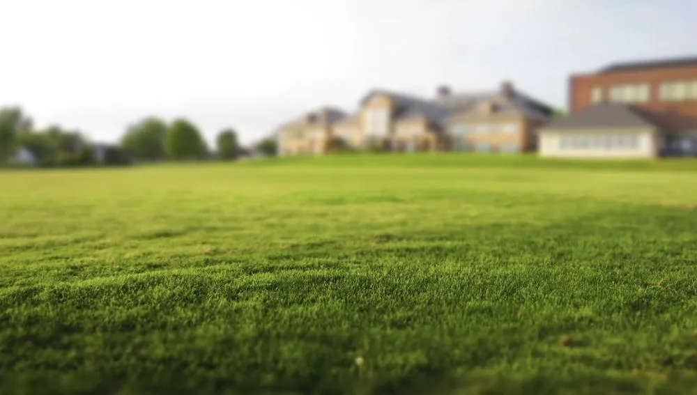Professional lawn mowing service experts serving Moore, OK - Grass & Trees