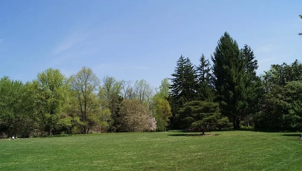 Local lawn care service for year-round maintenance in Moore, OK by Grass & Trees