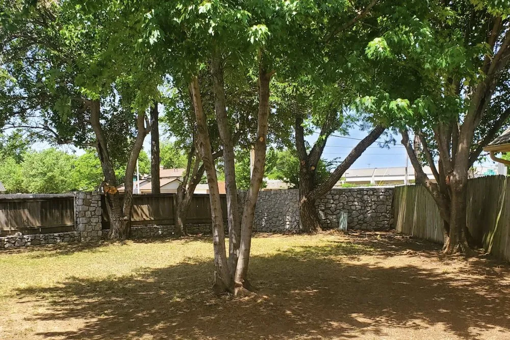 Professional yard maintenance for residential properties in Moore, OK by Grass & Trees