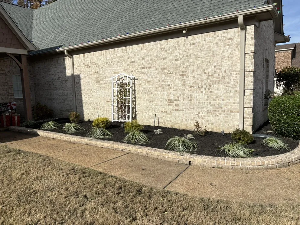 Expert yard maintenance for year-round maintenance across Arlington, TN - Grass and Garden