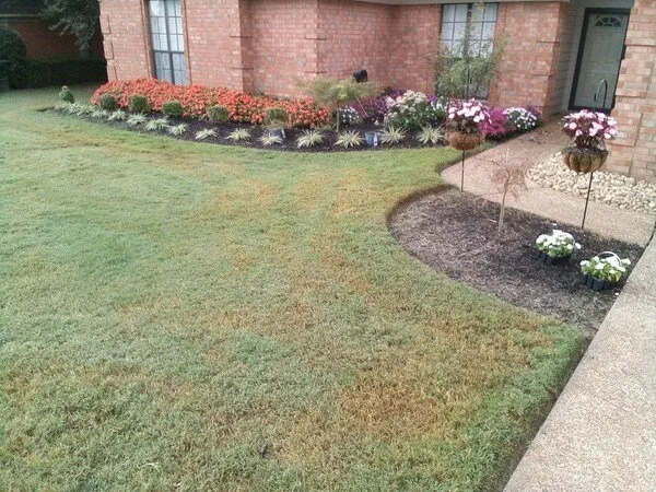 Professional lawn mowing service in Arlington, TN - Grass and Garden