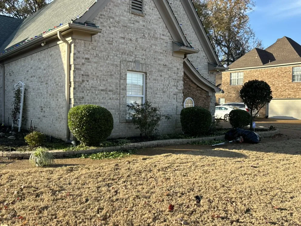 Custom outdoor landscaping in Arlington, TN - Grass and Garden