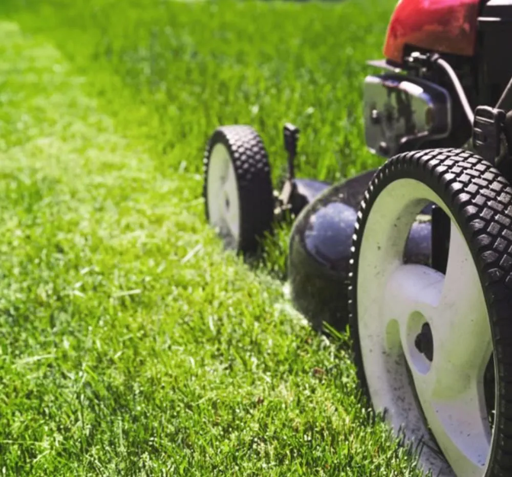 Trusted outdoor landscaping near you in Round Rock, TX by Grass Angler’s