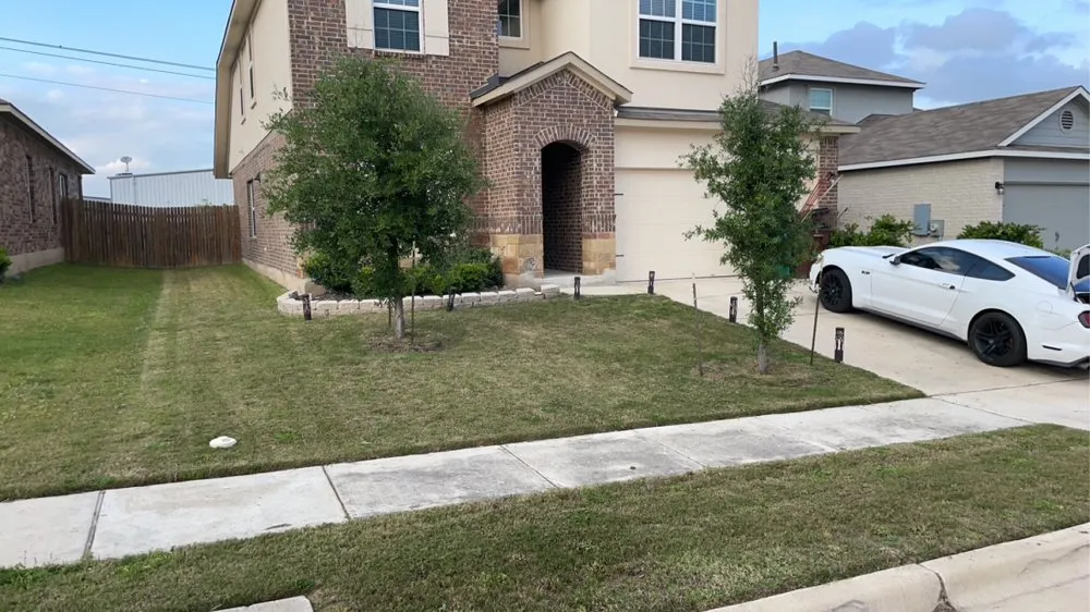 Professional lawn care service for year-round maintenance in Round Rock, TX by Grass Angler’s