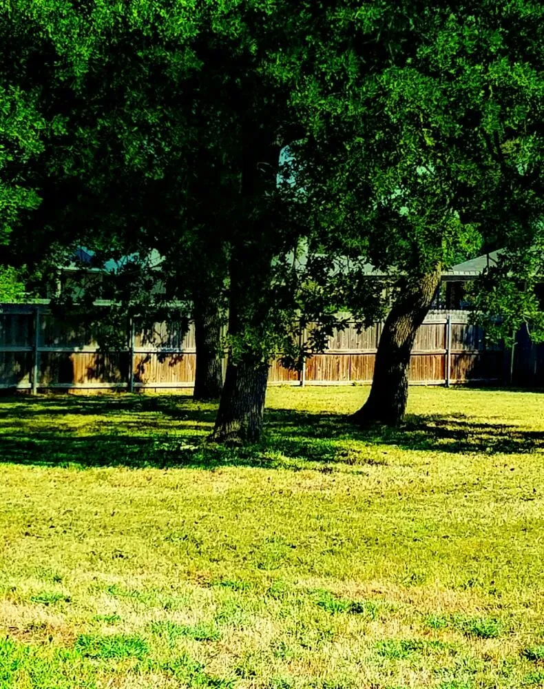 Custom lawn mowing service experts serving Austin, TX - Grass Assassins