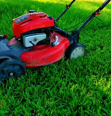 Grass Assassins Logo