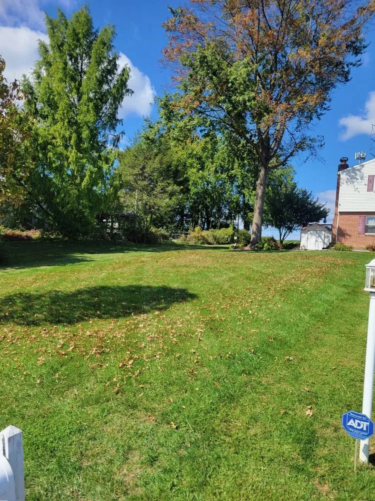 Local lawn care service experts serving Middletown, PA - Grass Assassins Mowing