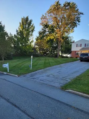 Grass Assassins Mowing