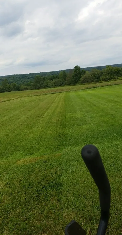 Affordable yard cleanup service in Remsen, NY - Grass Assassins