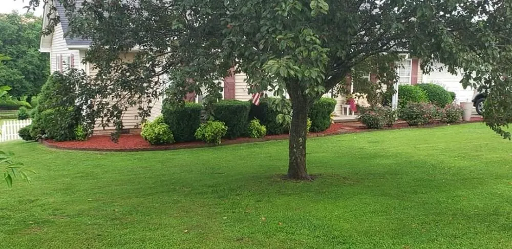 Professional garden landscaping in London, KY - Grass Attack