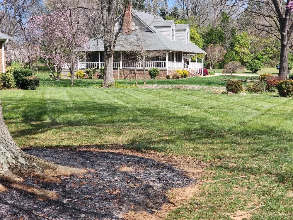Expert yard maintenance in Berry, KY by Grass Backwards Mowing