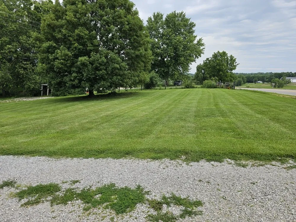 Top-rated garden landscaping in Berry, KY - Grass Backwards Mowing