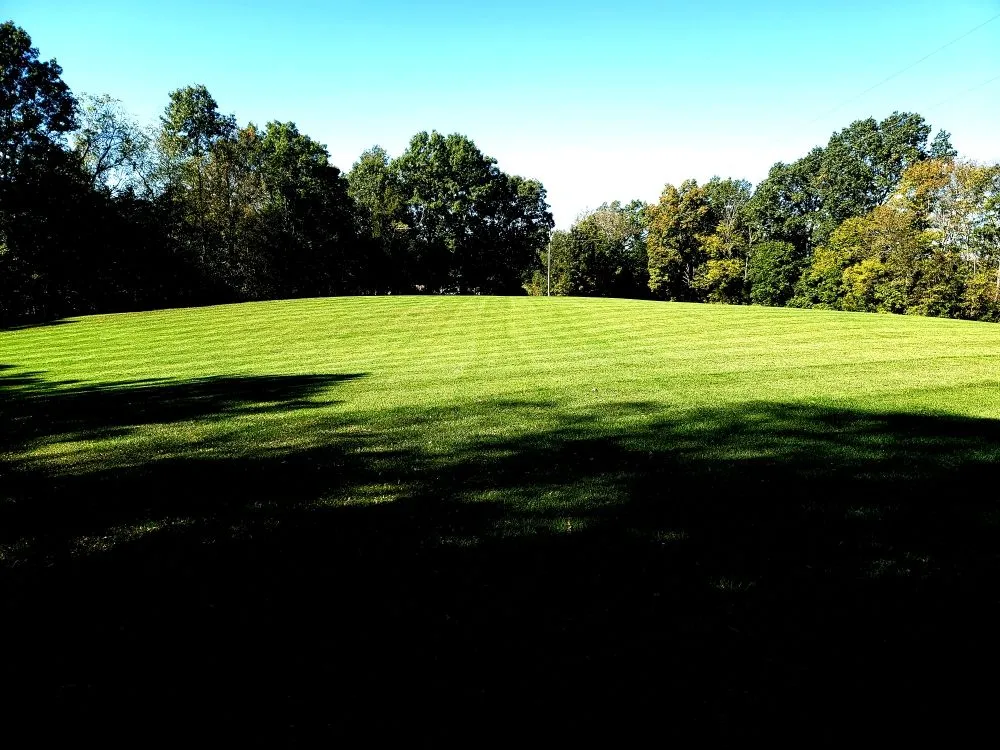 Expert yard cleanup service near you across Berry, KY - Grass Backwards Mowing