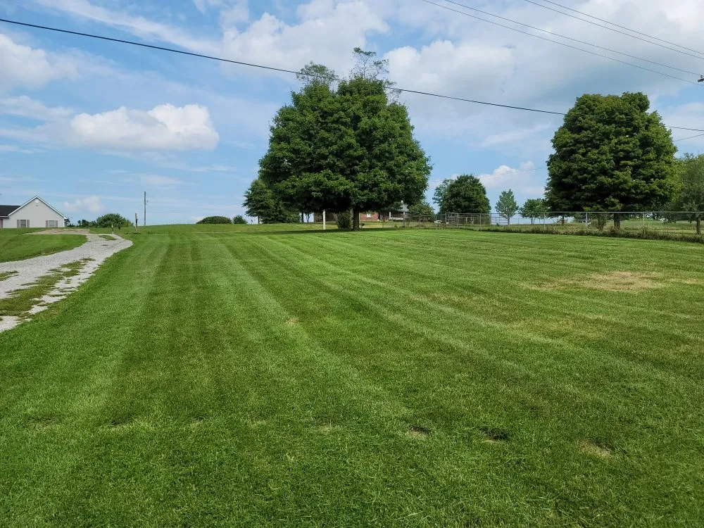 Affordable landscaping services for residential properties across Berry, KY - Grass Backwards Mowing