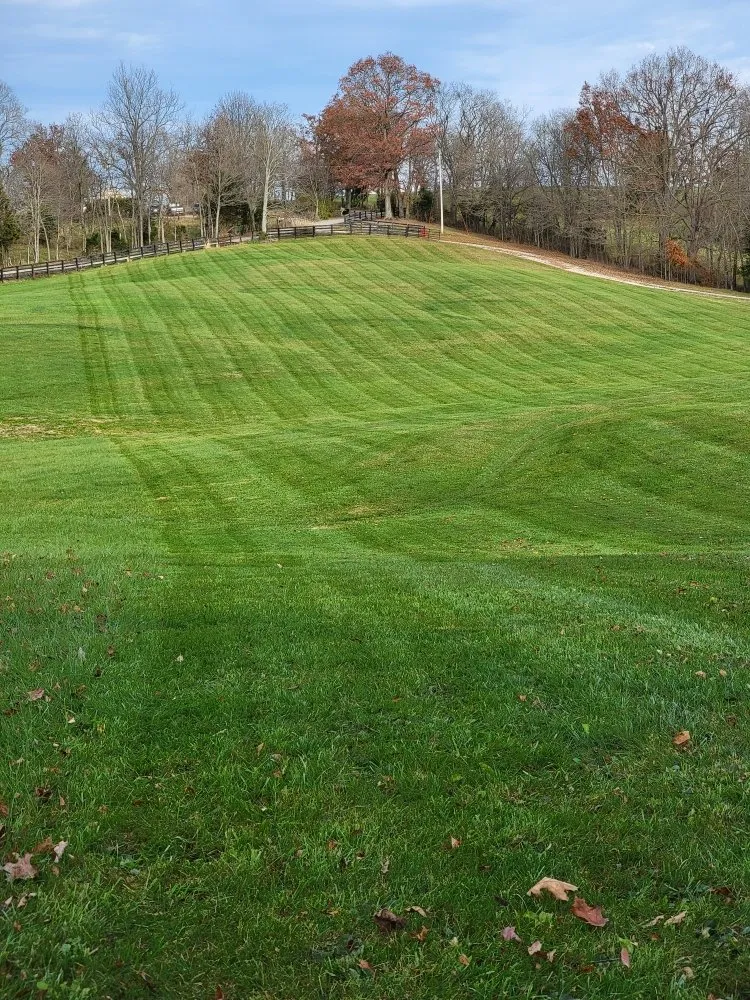 Expert yard cleanup service experts serving Berry, KY - Grass Backwards Mowing