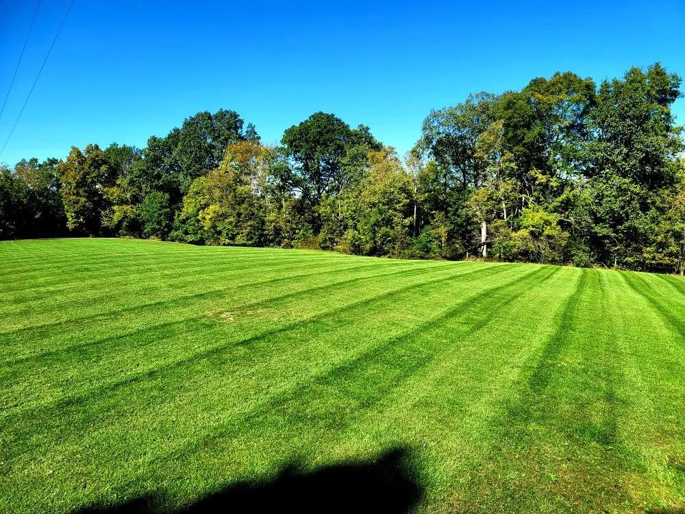 Professional garden landscaping in Berry, KY by Grass Backwards Mowing