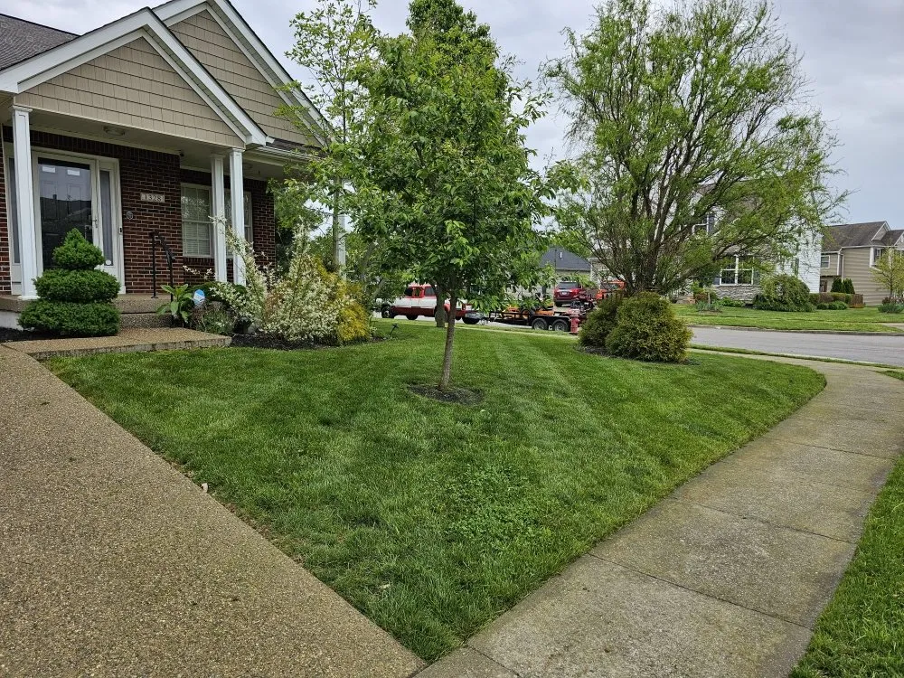 Custom yard maintenance experts serving Berry, KY - Grass Backwards Mowing