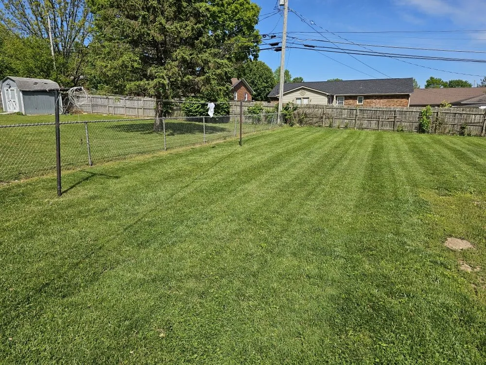 Custom yard cleanup service in Berry, KY - Grass Backwards Mowing
