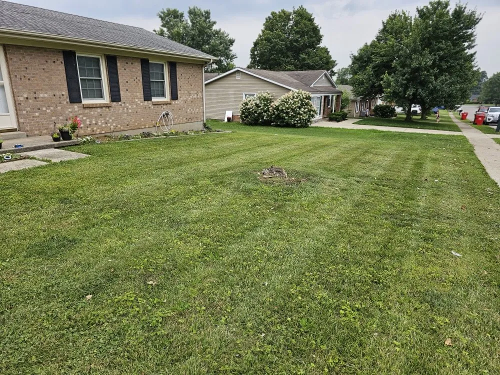 Reliable yard cleanup service in Berry, KY - Grass Backwards Mowing