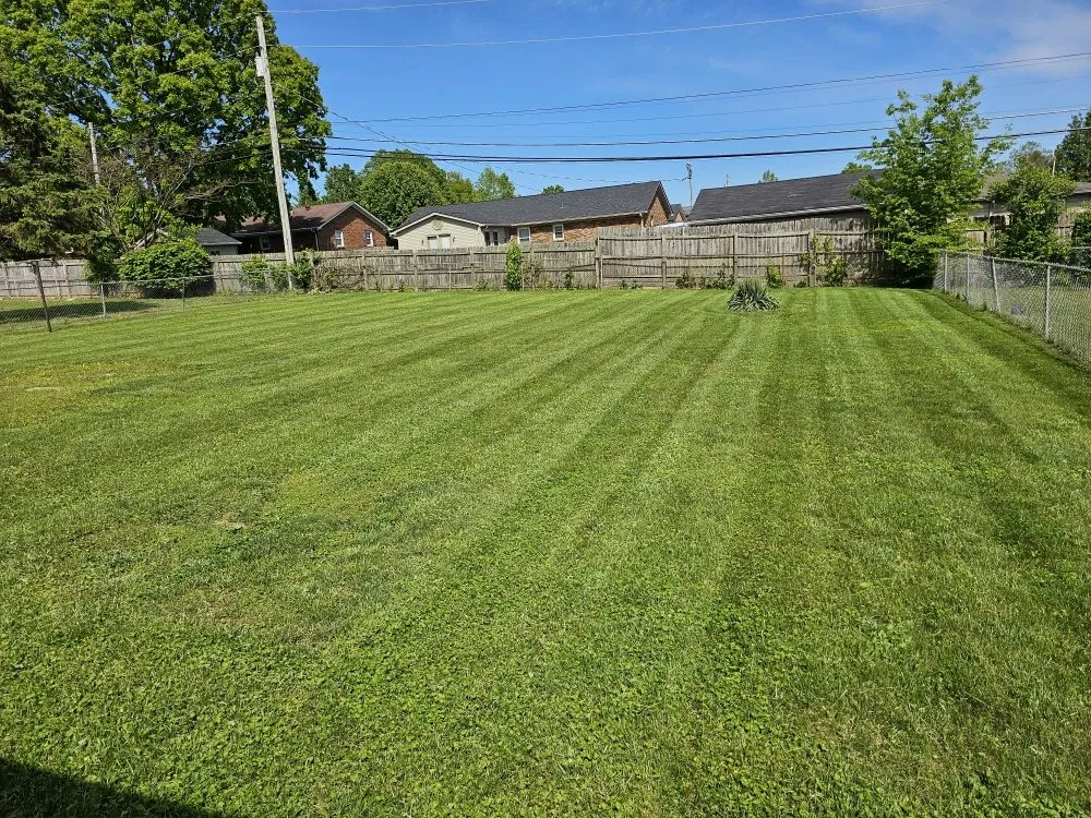Top-rated outdoor landscaping in Berry, KY - Grass Backwards Mowing