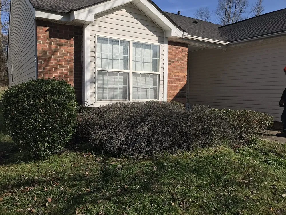 Trusted landscaping services for beautiful yards in Mcconnells, SC by Grass Barber