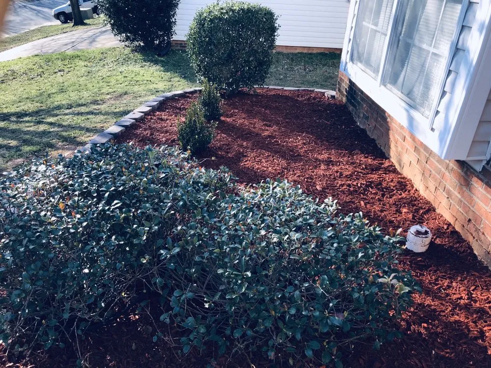 Reliable yard maintenance experts serving Mcconnells, SC - Grass Barber