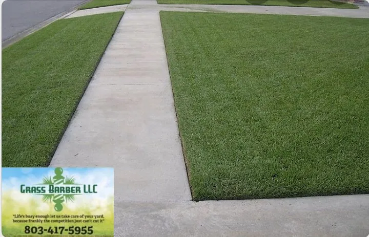 Affordable yard cleanup service experts serving Mcconnells, SC - Grass Barber