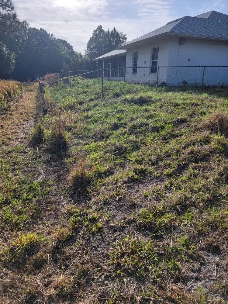 Expert landscaping services in Grant Vlkria, FL - Grass Barbers Lawn Maint