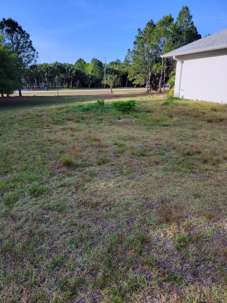 Trusted yard cleanup service for outdoor upgrades across Grant Vlkria, FL - Grass Barbers Lawn Maint