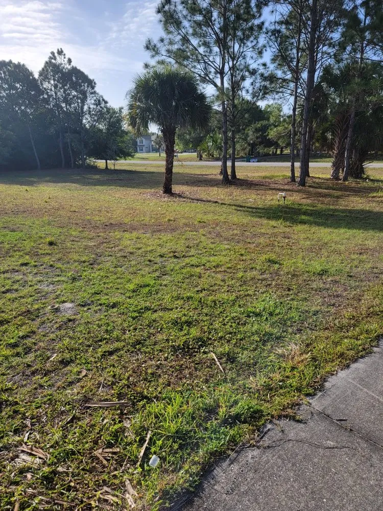 Affordable residential landscaping near you in Grant Vlkria, FL by Grass Barbers Lawn Maint